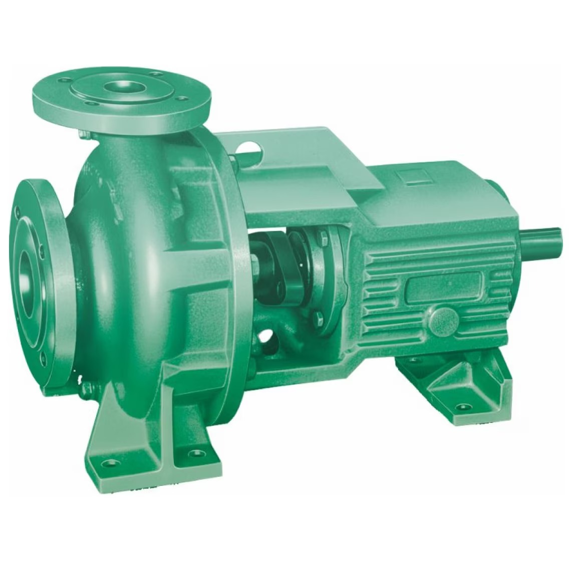 End suction pump engineered / special